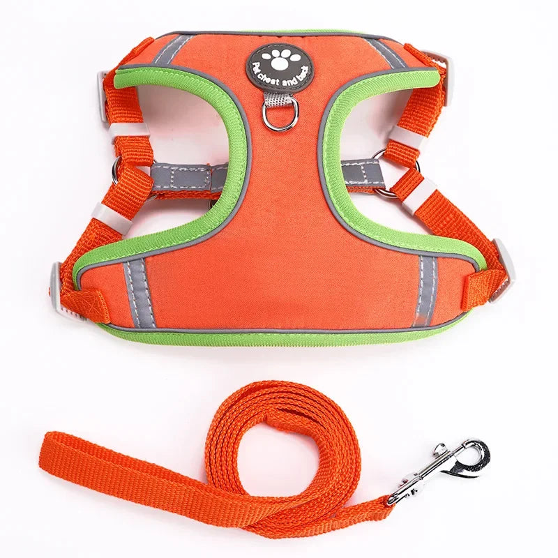 Dog Harness