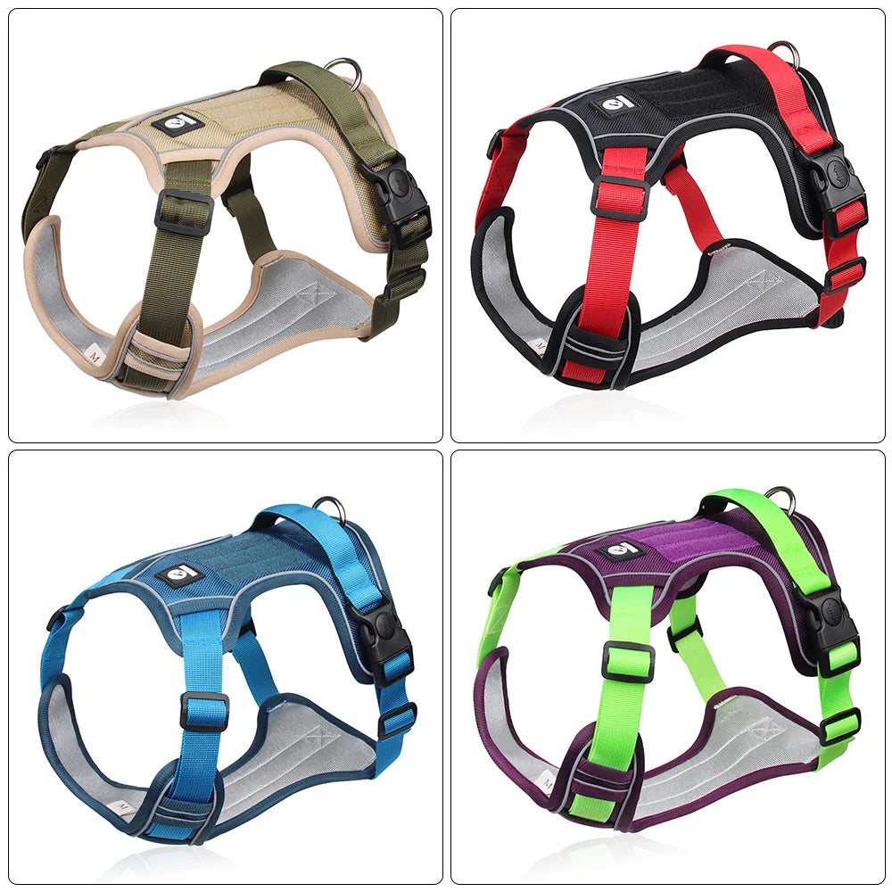 Harness